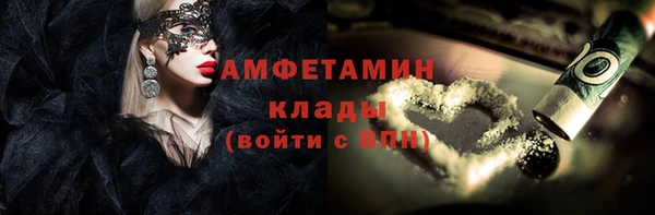 хмурый Гусь-Хрустальный