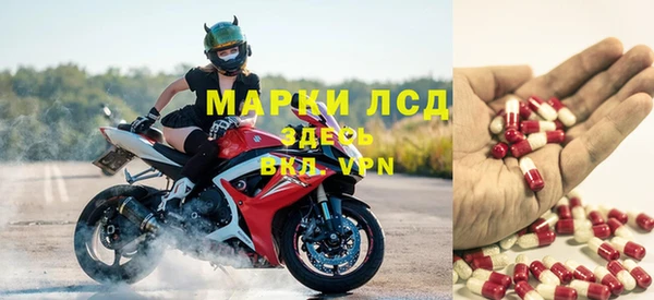 хмурый Гусь-Хрустальный