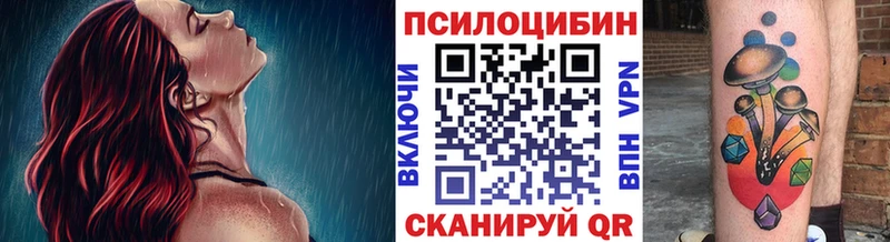 Псилоцибиновые грибы мицелий  Купить где  Зерноград 